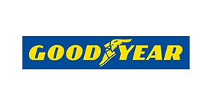 Goodyear Bayisi